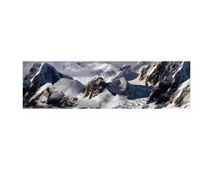 Antarctic 28