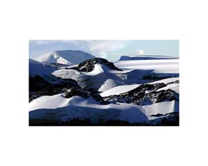 Antarctic 29