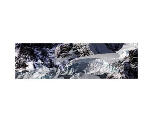 Antarctic 31