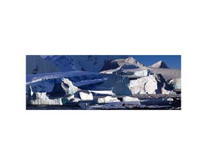 Antarctic 35