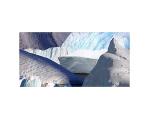 Antarctic 37