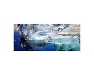 Antarctic 38