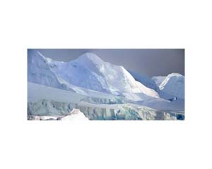 Antarctic 39
