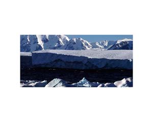 Antarctic 4