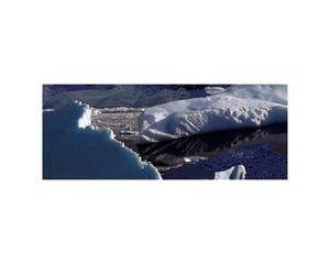 Antarctic 41