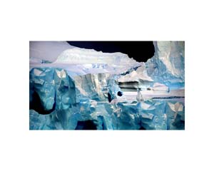 Antarctic 42