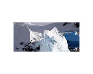 Antarctic 44