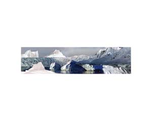 Antarctic 46