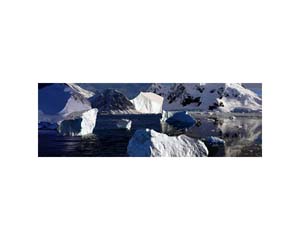 Antarctic 47