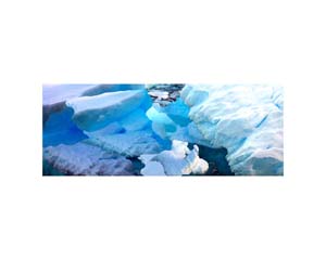 Antarctic 48