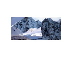 Antarctic 49