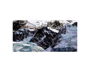 Antarctic 50