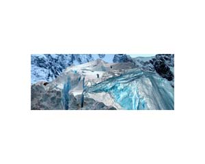 Antarctic 51