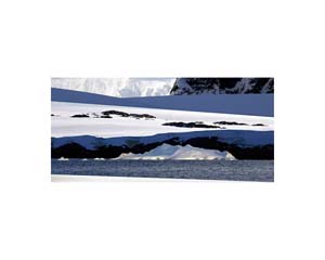 Antarctic 55