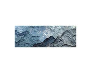 Antarctic 6