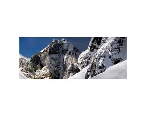 Antarctic 65