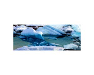 Antarctic 7