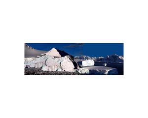 Antarctic 8
