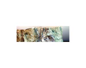 Antarctic 9