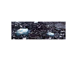 Antarctic Ice flow 1