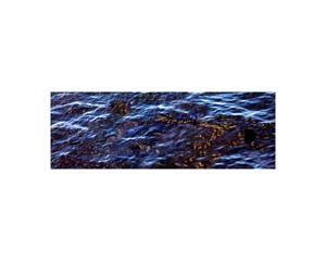 Antarctic Waves 7