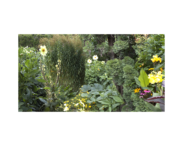Giverney 14 France