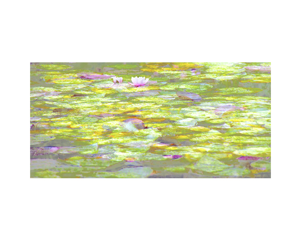 Giverney 7a France