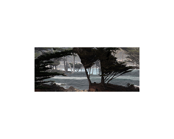 Cypress ridge 1 Cambria