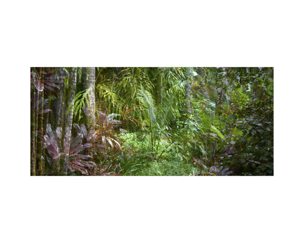 Hawaii 27