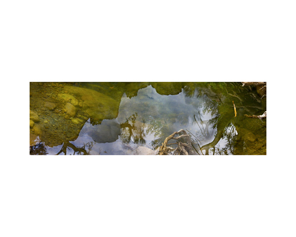 Red Rocks Oasis Reflection