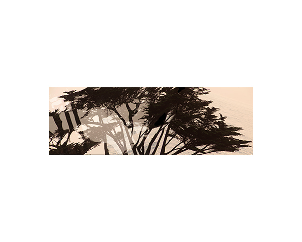 Spindrift Cypress s#300082