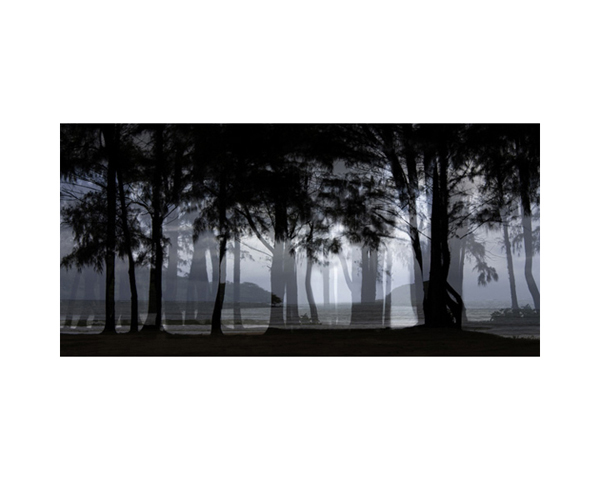 Tree Cove