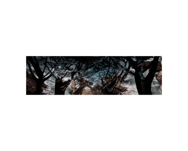 Waves and trees 3 