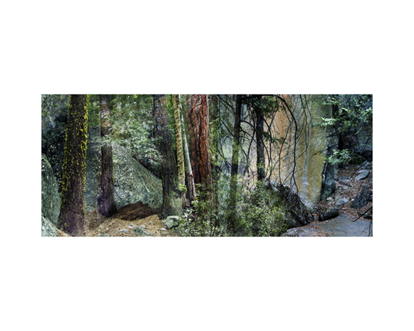 Yosemite Trail California