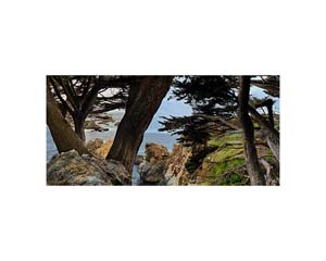 Bench View Cambria