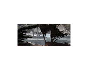 Cypress ridge 1 Cambria