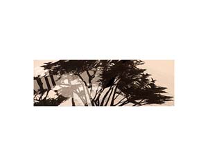 Spindrift Cypress s#300082