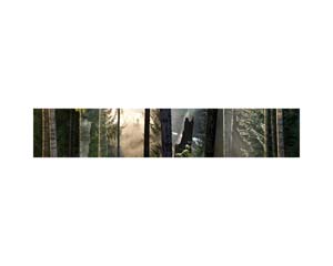 Vancouver Island Long