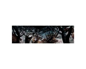 Waves and trees 3 