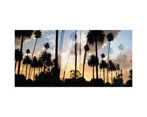 Bedford Street Sunset LA
