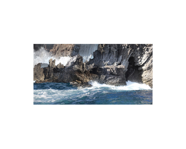 Bird Island 2