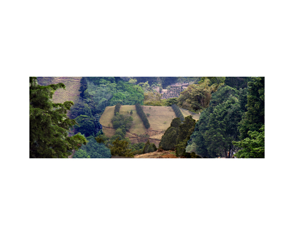 Fields 1 Costa Rica