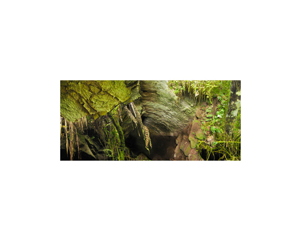 Galapagos Cave