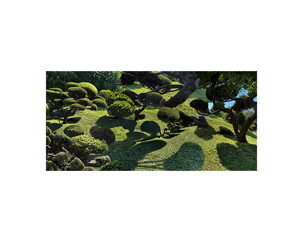 Japanes Garden Beunos 0093
