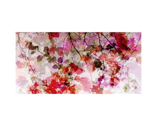 White Wall & Flowers 4 CR
