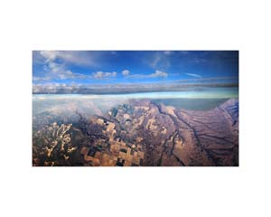Airplane view