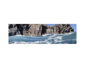 Bird Island 1