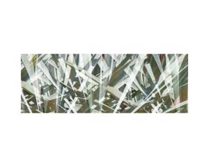 Henequen Plant 1a