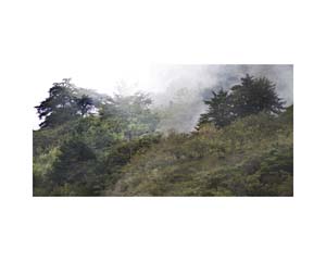 Hillside 1 Costa Rica