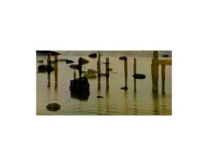 Patgonia Port 1 